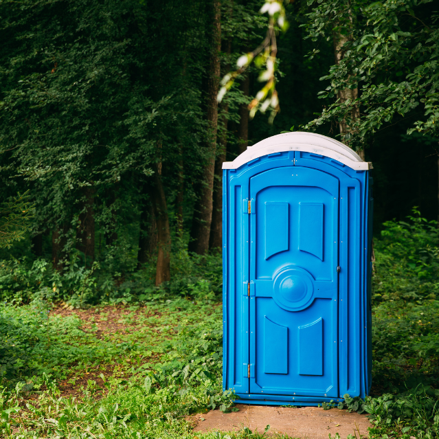 Luxury Toilets